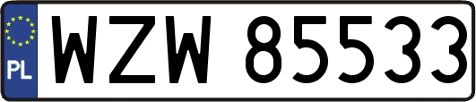 WZW85533