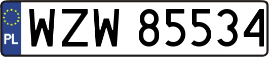 WZW85534