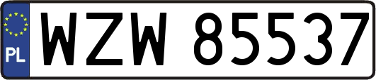 WZW85537