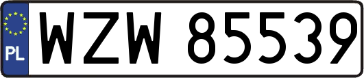 WZW85539