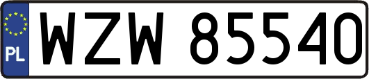 WZW85540