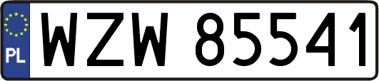 WZW85541