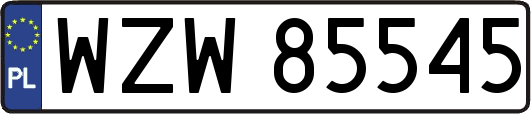 WZW85545