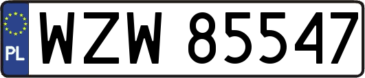 WZW85547