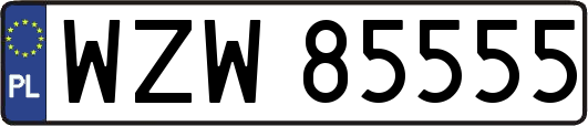 WZW85555