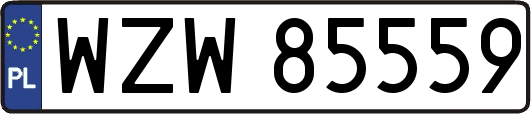 WZW85559