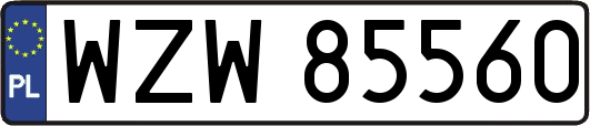 WZW85560
