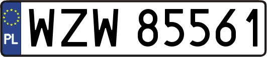 WZW85561