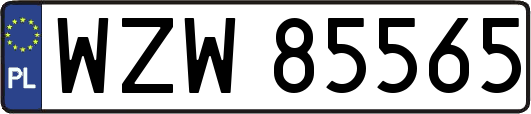WZW85565
