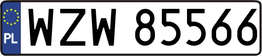 WZW85566