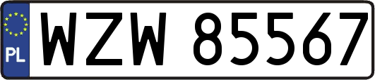 WZW85567