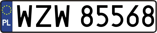 WZW85568