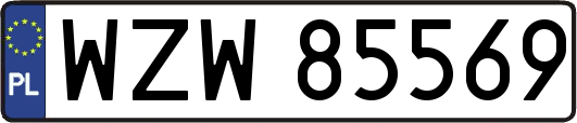 WZW85569