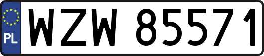 WZW85571