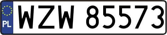 WZW85573