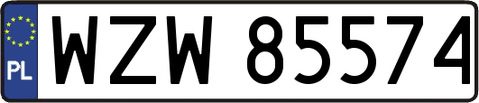WZW85574