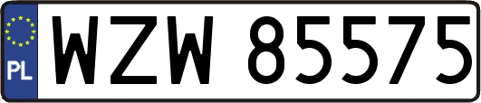WZW85575