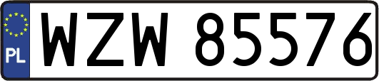 WZW85576
