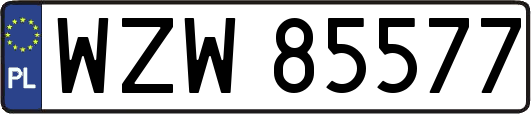 WZW85577
