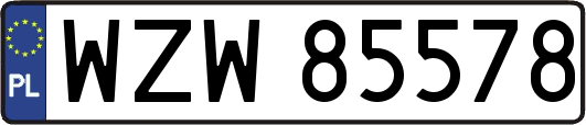 WZW85578