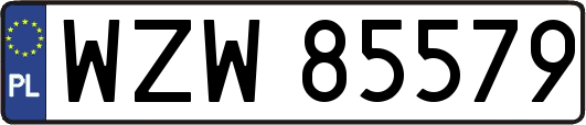 WZW85579