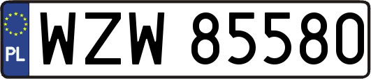 WZW85580