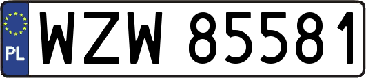WZW85581