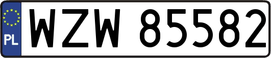 WZW85582