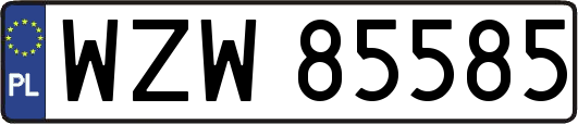 WZW85585