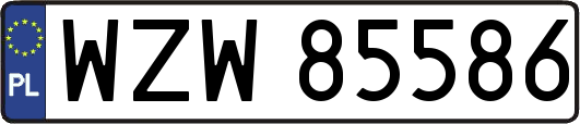 WZW85586