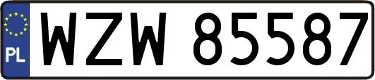 WZW85587