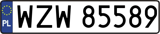 WZW85589
