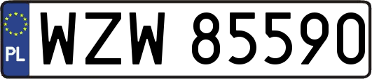 WZW85590