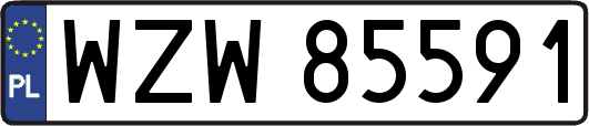 WZW85591