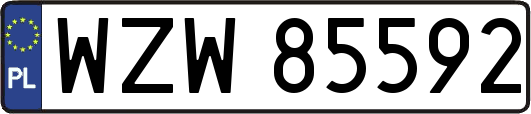 WZW85592