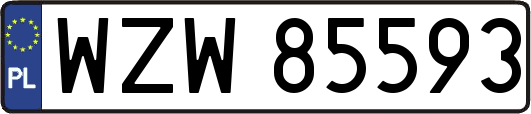 WZW85593
