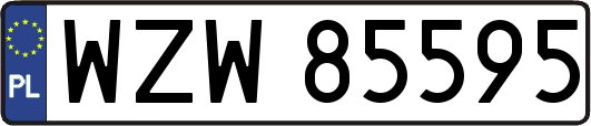WZW85595