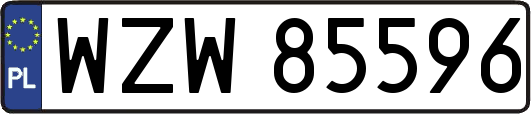 WZW85596
