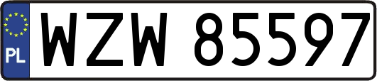 WZW85597