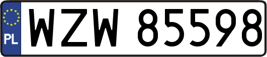 WZW85598