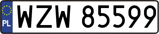 WZW85599