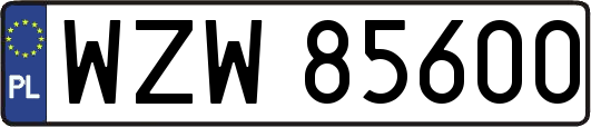 WZW85600