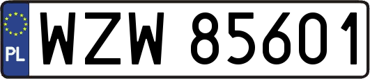 WZW85601