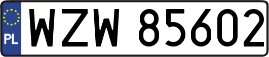 WZW85602