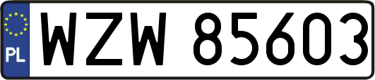 WZW85603
