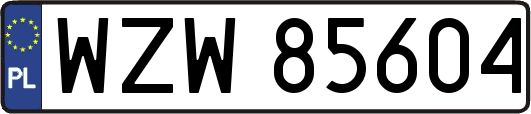 WZW85604