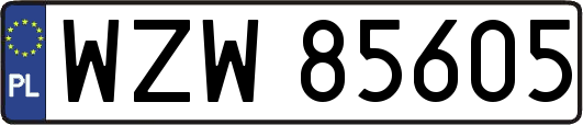 WZW85605