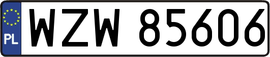 WZW85606