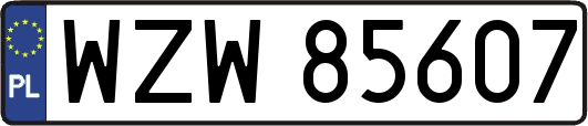 WZW85607