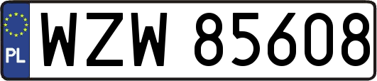 WZW85608